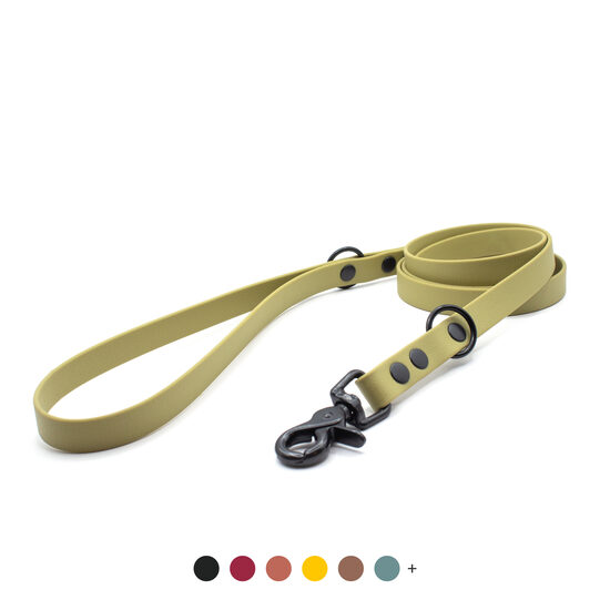 Waterproof leash with a black metal trigger snap